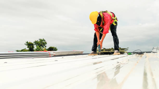 Best Asphalt Shingles Roofing  in Blue Mound, TX